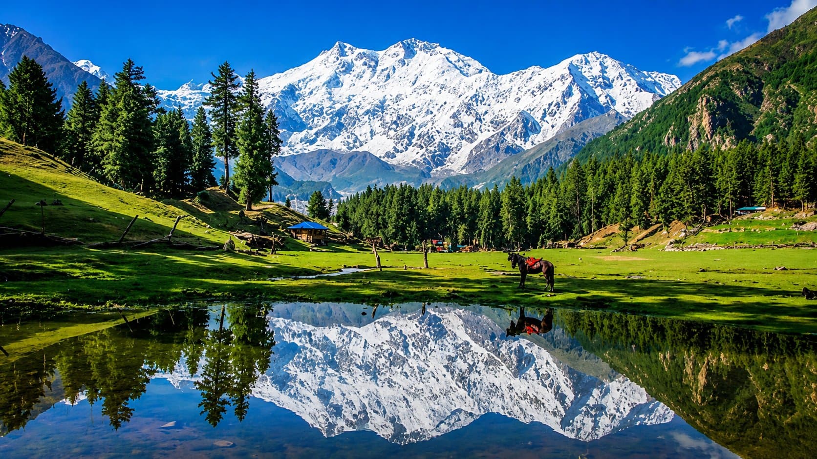 Face to face with Nanga Parbat.